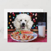 ホワイトプードルクリスマス シーズンポストカード (正面/裏面)