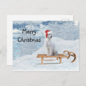 ホワイトプードルクリスマス ポストカード (正面/裏面)