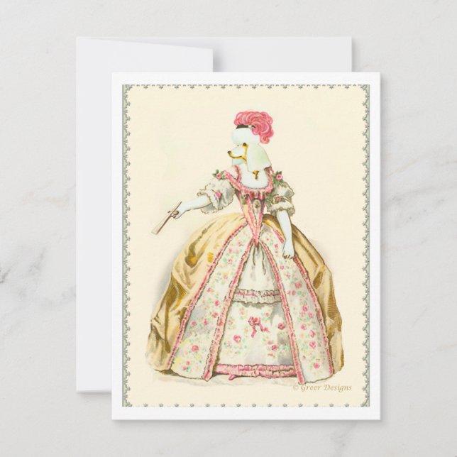 ホワイトプードルマリアントワネットフランスのファッション (正面)