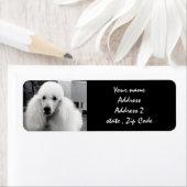 ホワイトプードル住所 シール (インサイチュ)