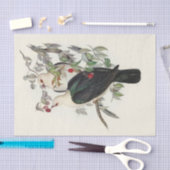 ホワイトヘッドのフルーツハト、デコパージュ 薄葉紙 (クラフト)