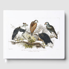 ホワイトヘッド・シー・イーグル素晴らし・ハーピー・イーグル・チリアン ゲストブック