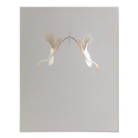 ホワイトヘロンが禅を離陸 フォトプリント            (正面)