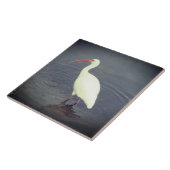 ホワイトヘロン魚釣りインポンド タイル (側面)