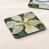 ホワイトベアレスアイリス開花フローラ コースター (左側)