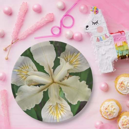 ホワイトベアレスアイリス開花フローラ ペーパープレート (パーティー)
