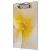 ホワイトベゴニア クリップボード (左)