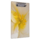 ホワイトベゴニア クリップボード (右)