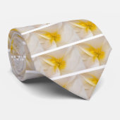 ホワイトベゴニア ネクタイ (ロール)