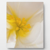 ホワイトベゴニア フォトプラーク (正面)