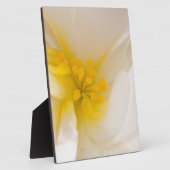 ホワイトベゴニア フォトプラーク (側面)