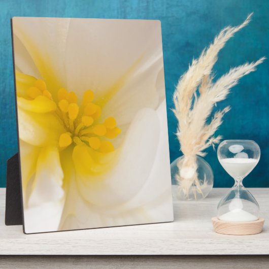 ホワイトベゴニア フォトプラーク (側面)