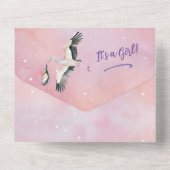 ホワイトベビーガールオンザウェイストークサンセットスカイ オールインワン招待状 (裏面)