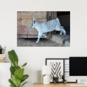 ホワイトベビー離れヤギのザ・バーン ポスター (ホームオフィス)