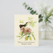 ホワイトベリーエメラルドハミングバードヴィンテージアート ポストカード (スタンド正面)