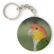 ホワイトベリーズカイケパロットアウトドア