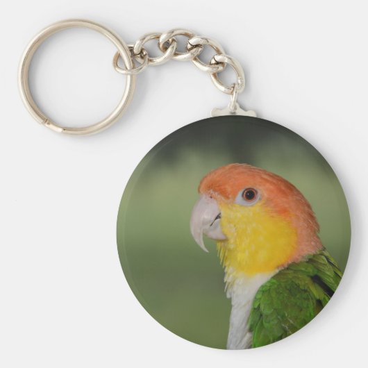 ホワイトベリーズカイケパロットアウトドア キーホルダー (正面)