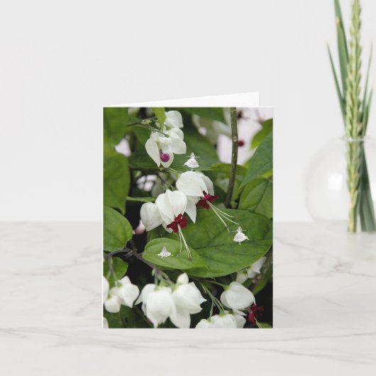 ホワイトベルのシャドーの妖精 カード (正面)