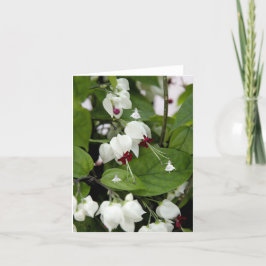 ホワイトベルのシャドーの妖精 カード