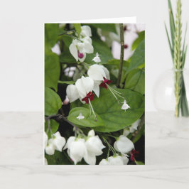 ホワイトベルシャドウフェアリーズ カード