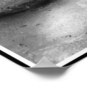 ホワイトベンガルタイガープリントイン白黒 ポスター (角)