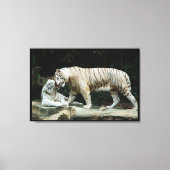 ホワイトベンガルトラ包まれた キャンバスプリント (正面)