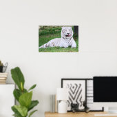 ホワイトベンガルトラ ポスター (ホームオフィス)