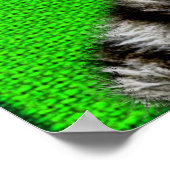 ホワイトベンガルトラ:緑の上の毛皮の底 ポスター (角)