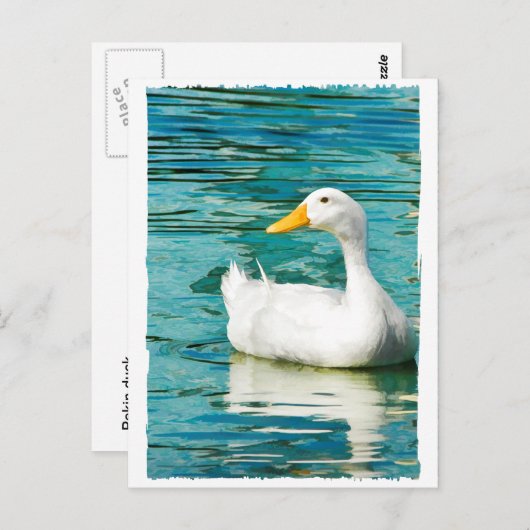 ホワイトペキンダック – 反射の自然写真 ポストカード (正面/裏面)