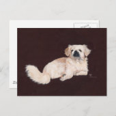 ホワイトペキン犬 ポストカード (正面/裏面)