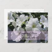 ホワイトペチュニア日付の保存 案内ポストカード (正面/裏面)