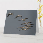 ホワイトペリカンバードワイルドライフ誕生日グリーティングカード カード (黄色い花)