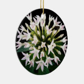 ホワイトペンタス セラミックオーナメント (右)