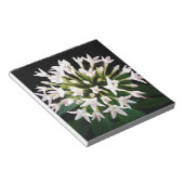 ホワイトペンタス ノートパッド (アングル)