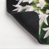 ホワイトペンタス マウスパッド (コーナー)