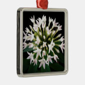 ホワイトペンタス メタルオーナメント (右)