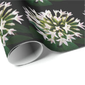 ホワイトペンタス ラッピングペーパー (ロールコーナー)