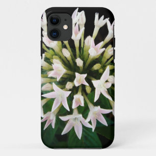 ホワイトペンタス iPhone 11 ケース