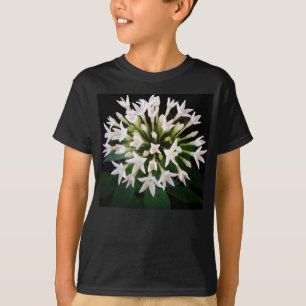 ホワイトペンタス Tシャツ