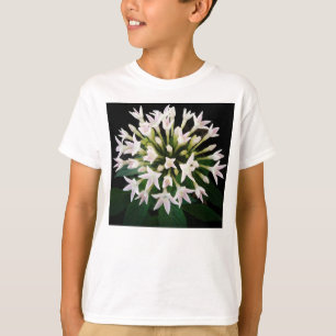 ホワイトペンタス Tシャツ