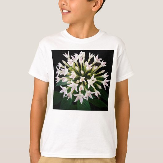 ホワイトペンタス Tシャツ (正面)