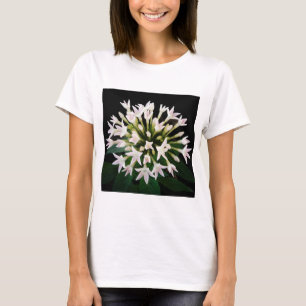ホワイトペンタス Tシャツ