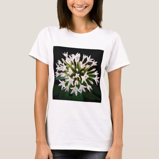 ホワイトペンタス Tシャツ (正面)