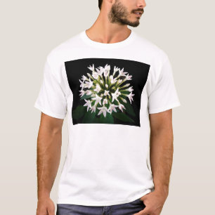 ホワイトペンタス Tシャツ