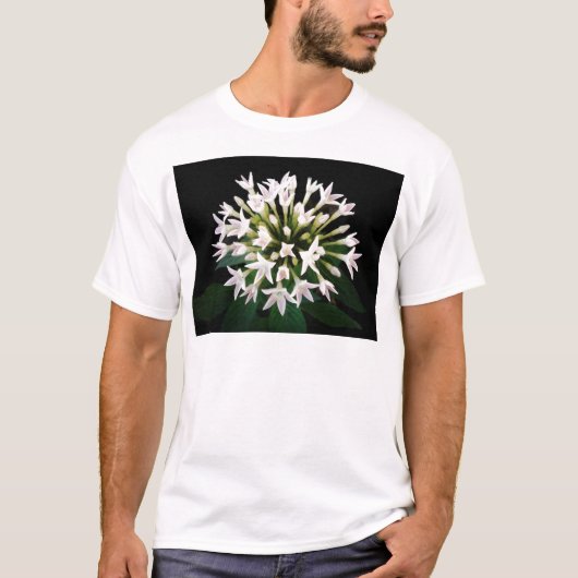 ホワイトペンタス Tシャツ (正面)