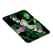 ホワイトペーパーカイトバタフライ マグネット (右側)