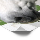 ホワイトホースポスタープリント ポスター (角)