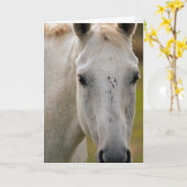 ホワイトホースポートレート カード (黄色い花)