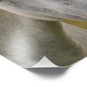 ホワイトホースポートレート フォトプリント            (角)