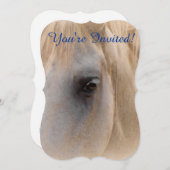 ホワイトホースポートレート 招待状 (正面/裏面)